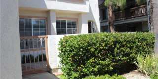 24341 CONEJO Gallery 1