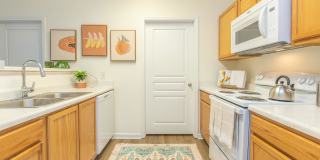 Willow Glen Gallery 27