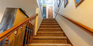 3815 Fairfax Street 3815 Fairfax Street Gallery 15