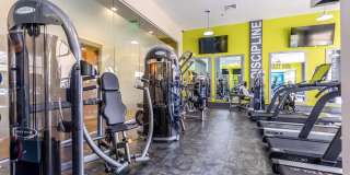 Trinity Commons at Erwin Gallery 19