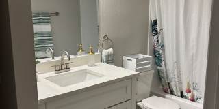 Palms of Clearwater Gallery 74