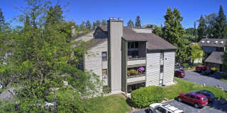 2 Bedroom Condo with Boat Slip in Bigfork Gallery 1