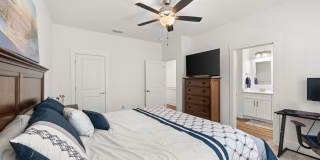 81 Date Palm Lane Gallery 20