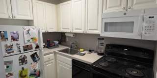 6 Gilson Rd. Gallery 2