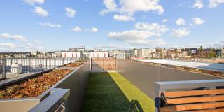 Corner 63 Corner 63 Gallery 29