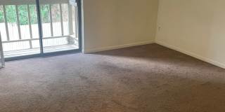 Two Bedroom, Two Bathroom Florida Rd Apt with Convenient Location! Gallery 6