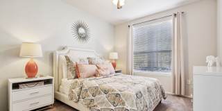 Vista Lake Ned Gallery 39