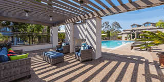 Larkspur Courts Gallery 2