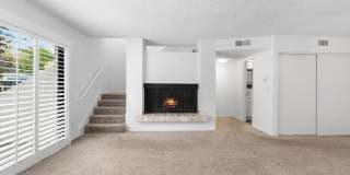 7137 Shoup Avenue Gallery 6