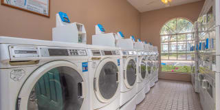 The Julep Gallery 31