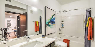 Domain Gallery 17