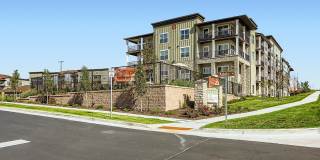 Stone Mesa Flats Gallery 26
