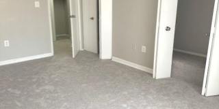 5606 BLOOMFIELD Drive unit: 101 Gallery 19