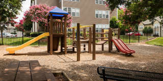 Savannah Place Gallery 16