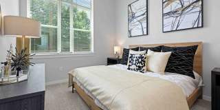 Alta West Morehead Gallery 13