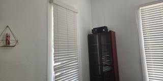Beautiful Renovated Historical Home by Downtown SA! Gallery 34