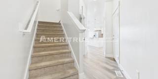 Pet Friendly Brand new Construction Gallery 1