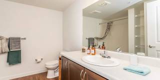 Heights By Vintage Gallery 11