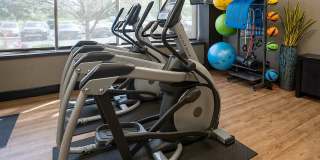 The Shoreline Apartments The Shoreline Apartments Gallery 16