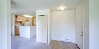 Palermo at Lakeland Gallery 28