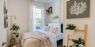 Welcome Canary Gallery 2
