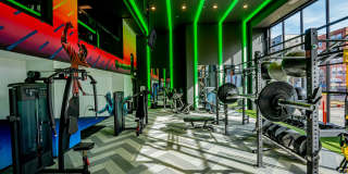 The Chelsea Gallery 17