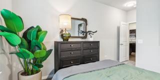 Springs at St Charles Gallery 9