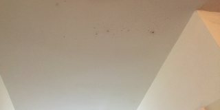 NOW ACCEPTING CITY OF ATLANTA 3-BEDROOM HOUSING VOUCHERS. Gallery 17