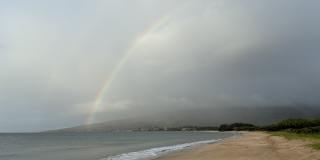 150 Hauoli St Gallery 56