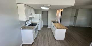 2/1 Second Floor Apartment in New Port Richey Gallery 11