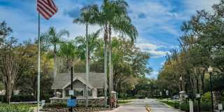 3829 SPRUCE PINE DRIVE Gallery 58