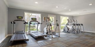 Pear Orchard Gallery 6