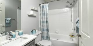 Orchard Park Gallery 13