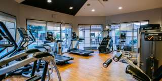 Finisterra Luxury Apartments Gallery 5