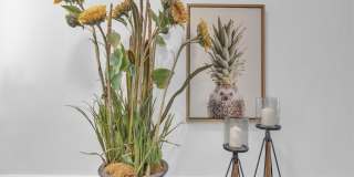 611 Gardenia Lane Gallery 4