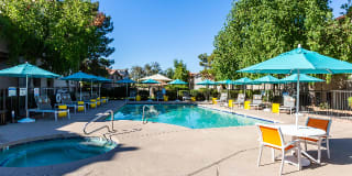 Avana Gilbert Gallery 9