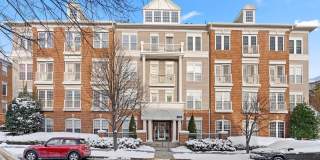 803 RESERVE CHAMPION Drive unit: 203 Gallery 1