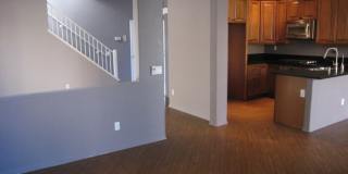 9564 Capricorn Way Gallery 6