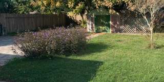 3 bedroom 1 bath recently refurbished  with large fenced backyard ,close to shopping and the beach Gallery 15