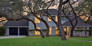 3038 Whisper Fern 3038 Whisper Fern Gallery 1