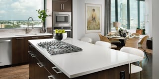 The Driscoll at River Oaks Gallery 14