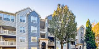 Halston Shiloh Valley Gallery 26