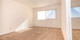 4015 Crown Pt. Drive #P1 Gallery 11