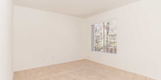 Marlon Manor Apartments Gallery 7