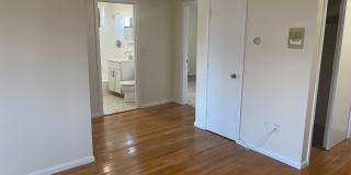 No Fee Massive 2 bed with New floors, kitchen and paint, AC VERY SUNNY!!  PARKING INCLUDED Gallery 13