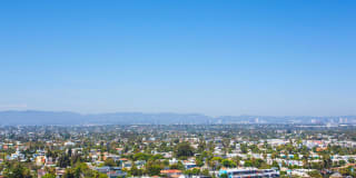 Marina 41 Gallery 55