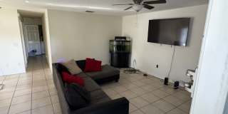 Charming 3BR House in Tampa Gallery 3