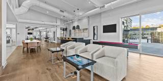 Legend at Beards Hill Gallery 13