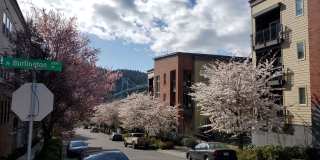 Cathedral Park Apartments Gallery 38