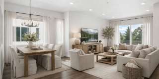 Summit Ridge Gallery 4